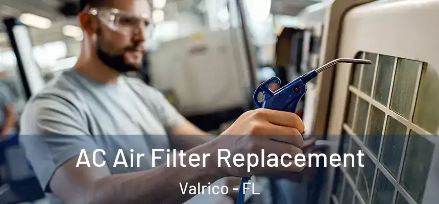  AC Air Filter Replacement Valrico - FL