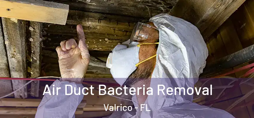 Air Duct Bacteria Removal Valrico - FL