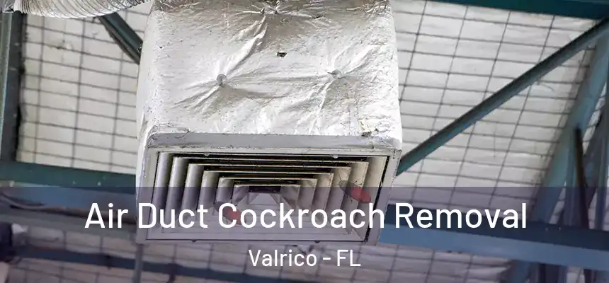  Air Duct Cockroach Removal Valrico - FL