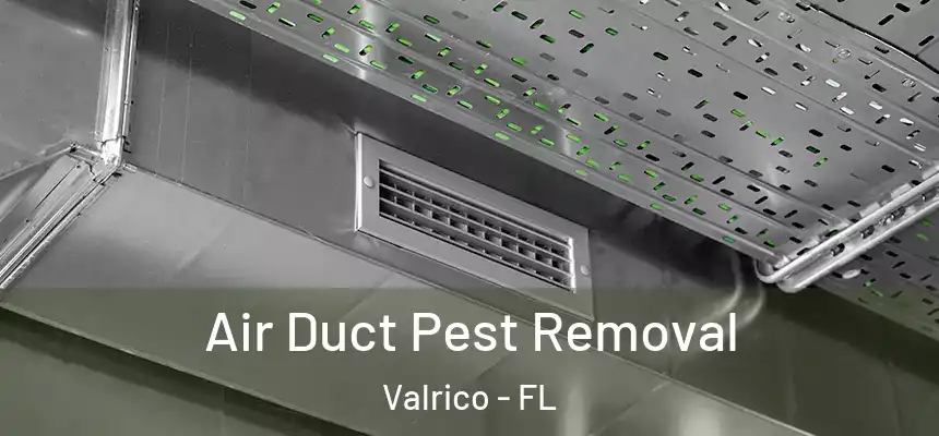  Air Duct Pest Removal Valrico - FL
