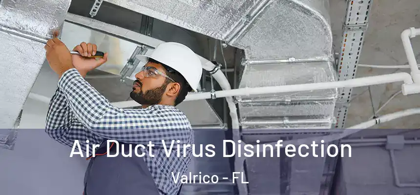  Air Duct Virus Disinfection Valrico - FL