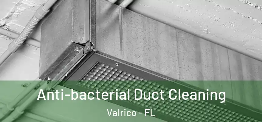  Anti-bacterial Duct Cleaning Valrico - FL