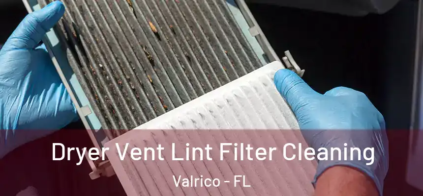  Dryer Vent Lint Filter Cleaning Valrico - FL