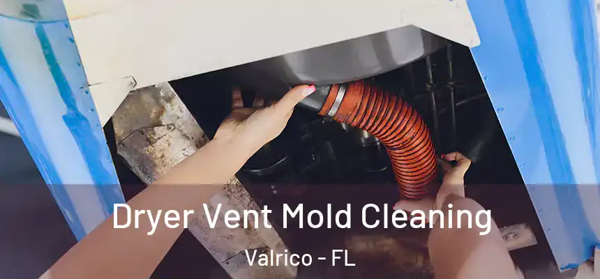  Dryer Vent Mold Cleaning Valrico - FL