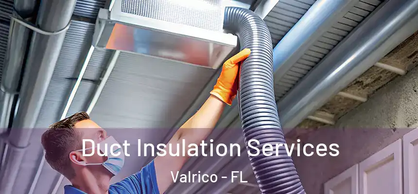  Duct Insulation Services Valrico - FL
