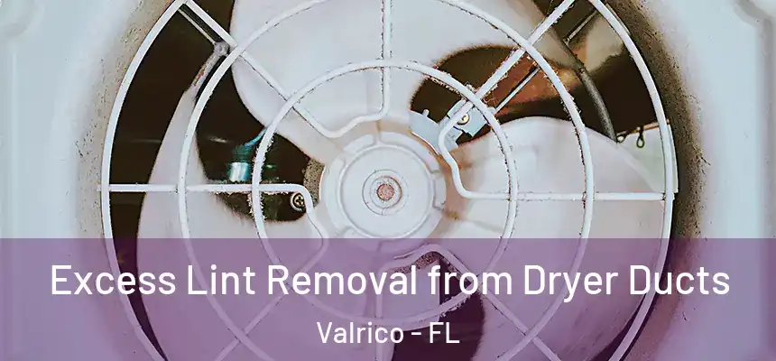  Excess Lint Removal from Dryer Ducts Valrico - FL