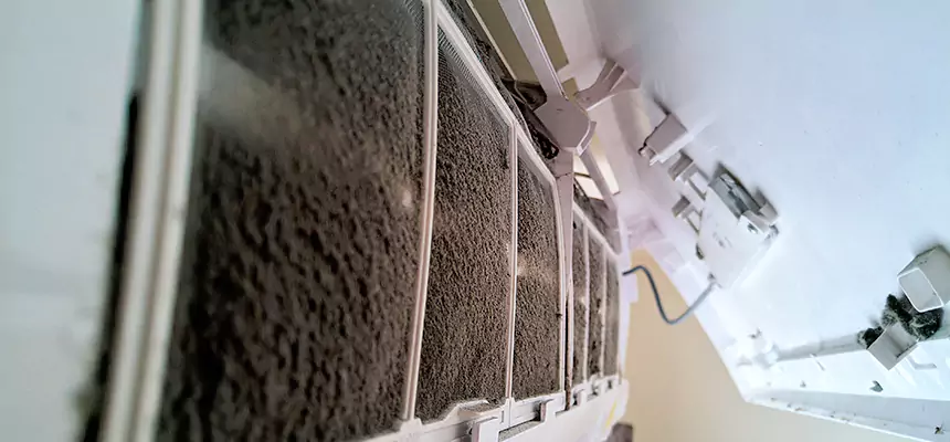 Preventive Air Duct Bacteria Removal in Valrico