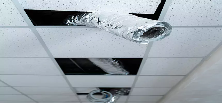 Our Air Duct Pet Hair Removal Services in Valrico, FL