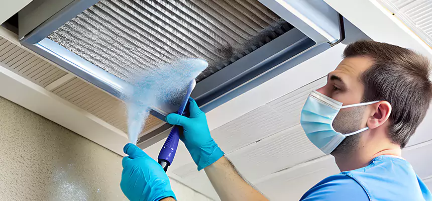 Proactive Dryer Vent & Auxiliary Duct Pollen Cleanup in Valrico, FL