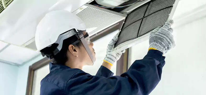 Our Mold & Mildew Removal from Air Ducts Services in Valrico, FL