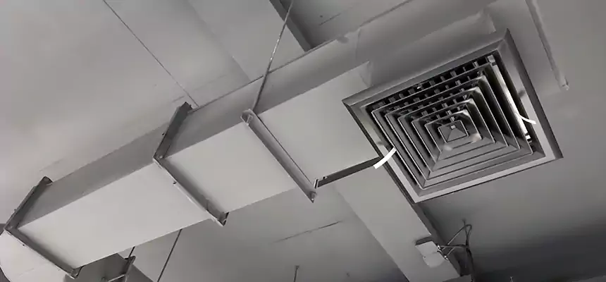 Our Pest Removal From Ducts Services in Valrico, FL