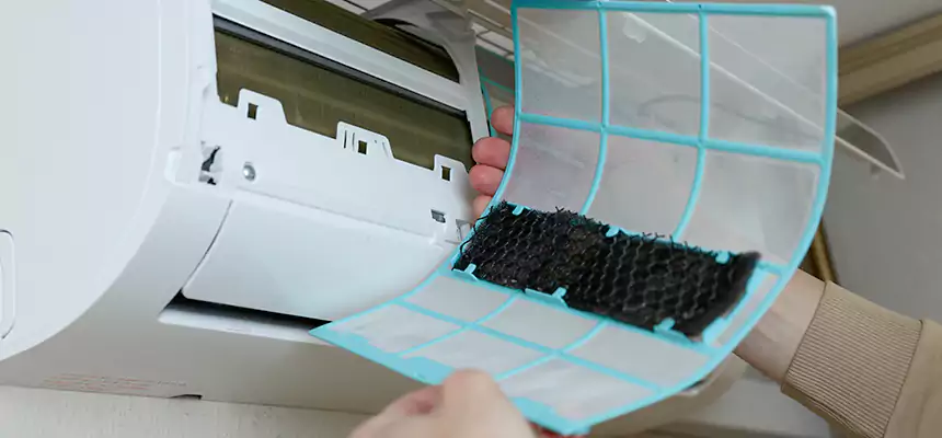 Gentle Ductwork Odor-Control Pet Dander Duct Cleaning in Valrico, FL