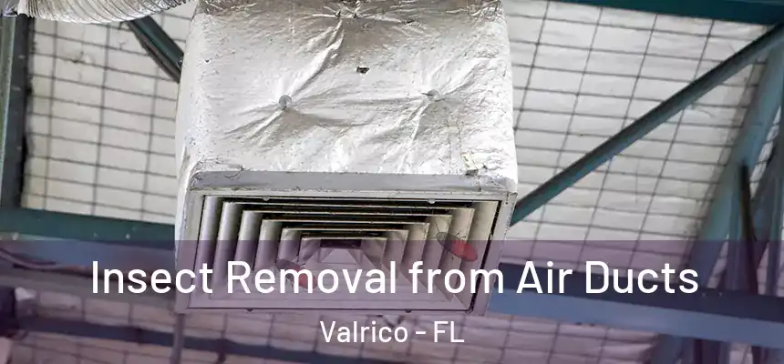  Insect Removal from Air Ducts Valrico - FL