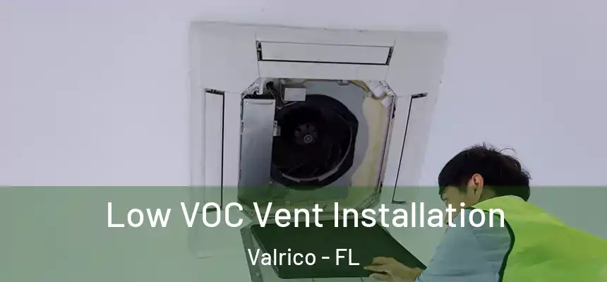  Low VOC Vent Installation Valrico - FL