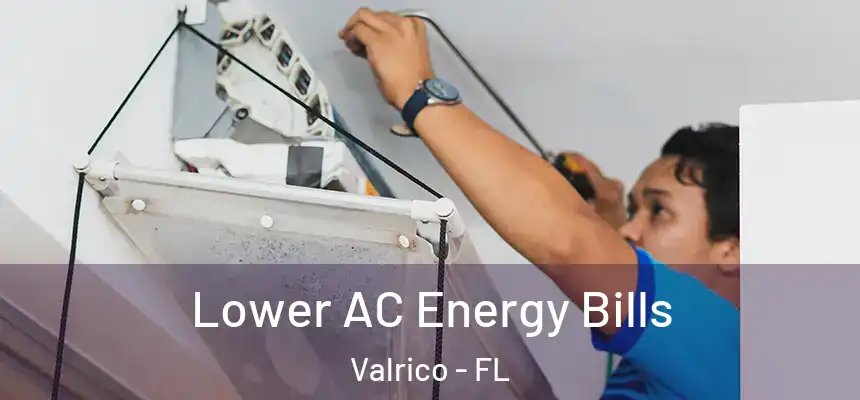  Lower AC Energy Bills Valrico - FL