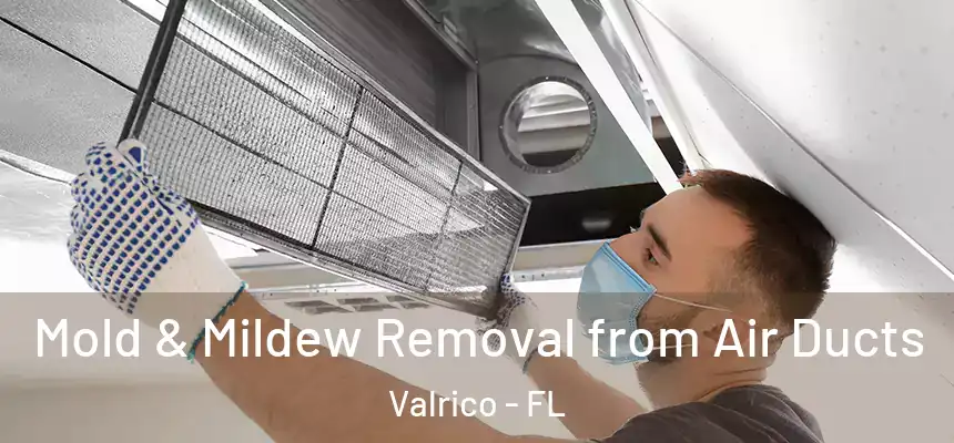  Mold & Mildew Removal from Air Ducts Valrico - FL