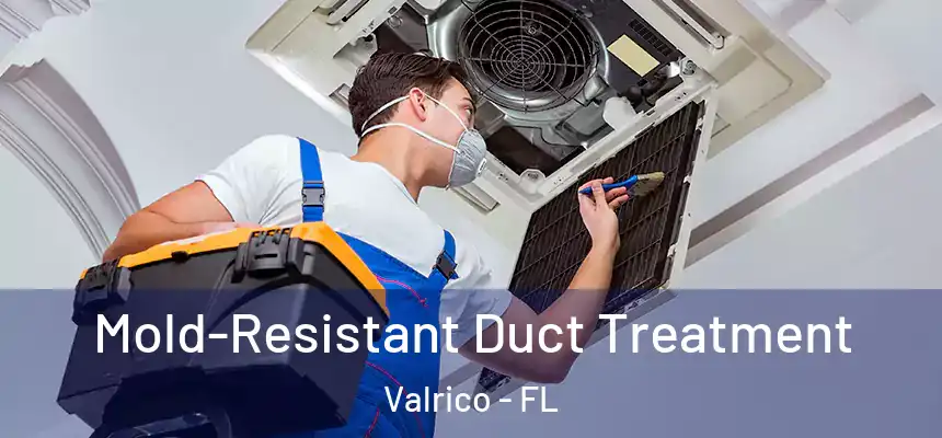  Mold-Resistant Duct Treatment Valrico - FL