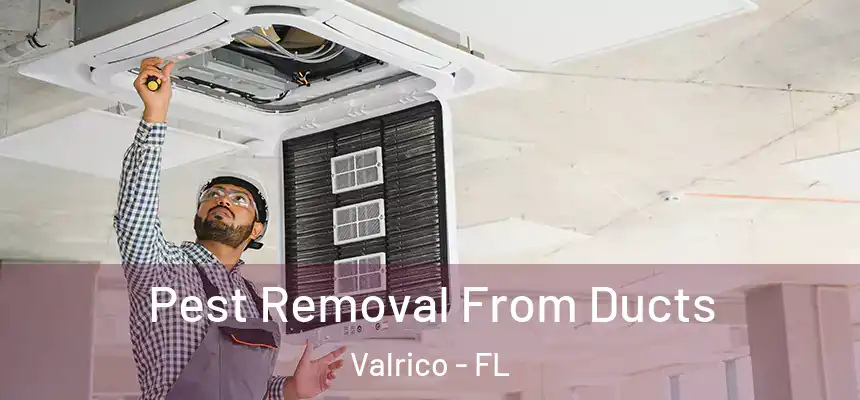  Pest Removal From Ducts Valrico - FL