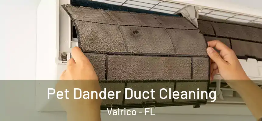  Pet Dander Duct Cleaning Valrico - FL