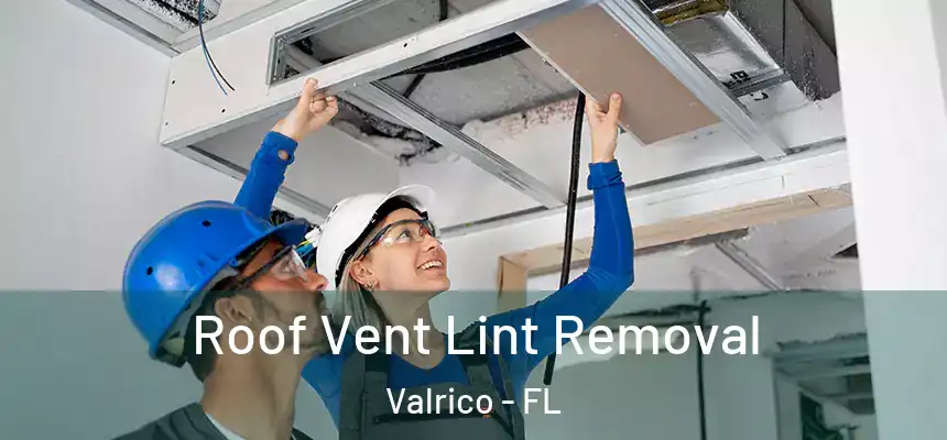  Roof Vent Lint Removal Valrico - FL