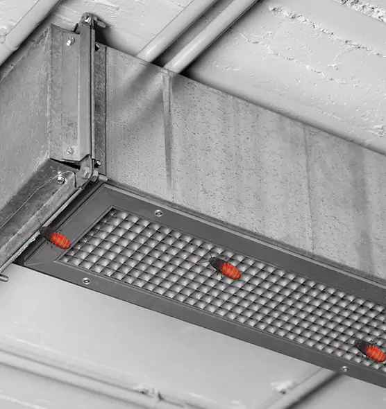 About Air Duct Cockroach Removal in Valrico, FL