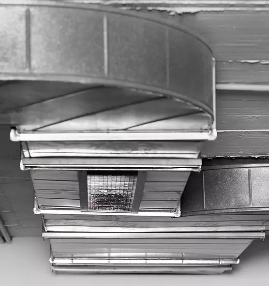 Professional Air Duct Pest Removal in Valrico, FL