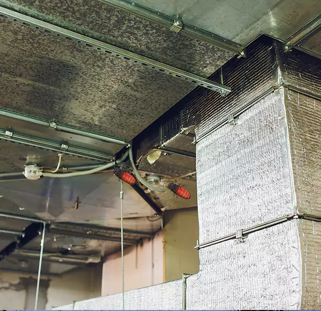 Why Homeowners & Businesses Trust Us in Valrico, FL?