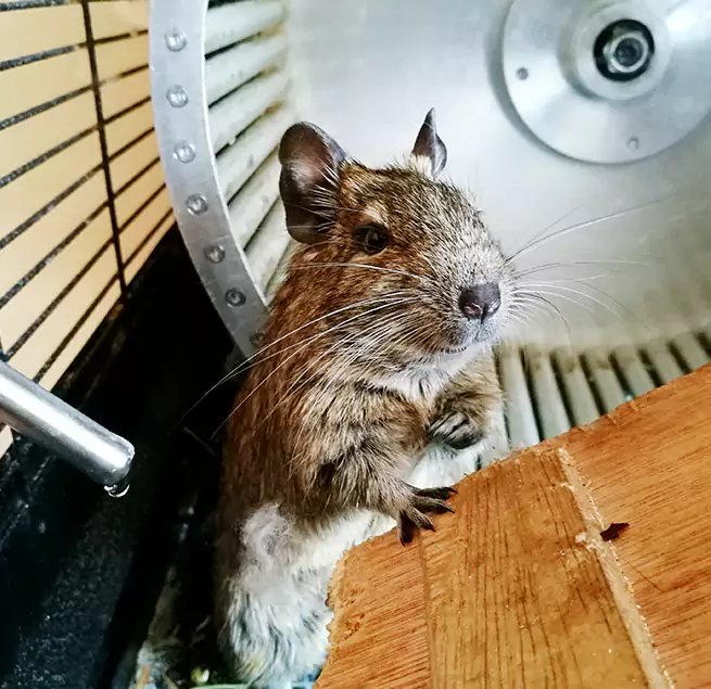 Why Homeowners & Businesses Trust Us Valrico, FL?