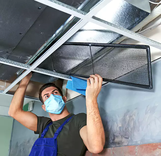 Why Homeowners Businesses Trust Us in Valrico, FL